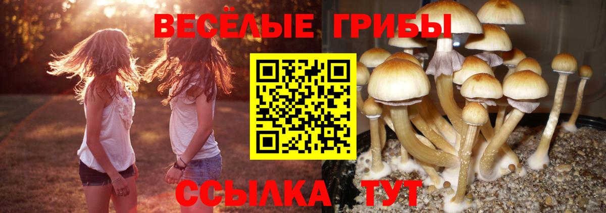 Галлюциногенные грибы GOLDEN TEACHER  Вход с VPN  Озёры 